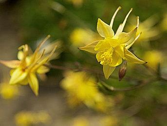 《街头霸王6》JP角色指南 6月2日正式发售