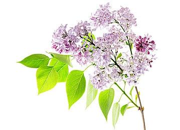 五行觅仙法 寻道问长生《修仙牌》现已正式发售